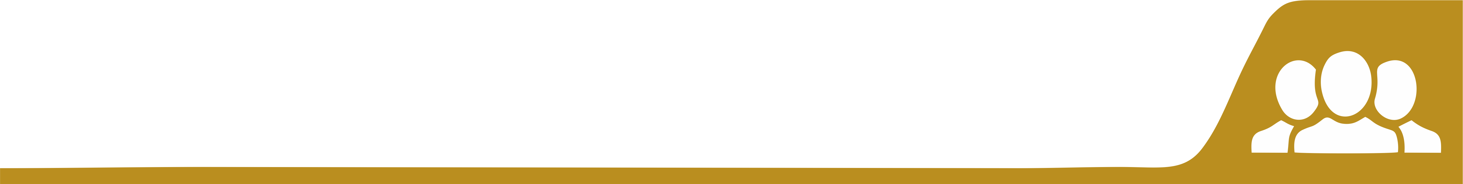 enlace nosotros empresa peruana