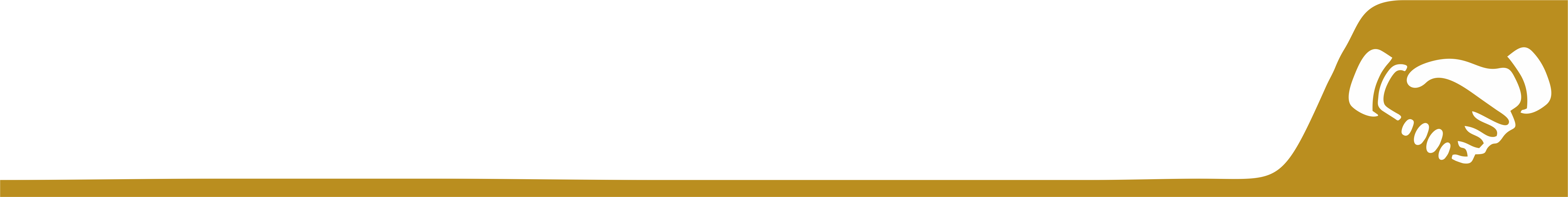 Lealtad, Optimización y Sostenibilidad